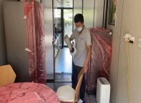 甲醛的危害及清除方法？